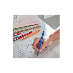 Paper Mate Flair Stylos - feutres de Coloriage - pointe moyenne (0.7 mm) - Couleurs Tropical - Lot de 12.